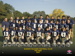 Queens Falcons 2007-2008